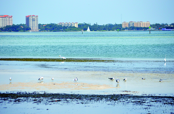 A subaqueous pipeline has transported wastewater from Longboat Key to the Manatee County wastewater treatment plant for the past 41 years. The town is beginning the process of replacing the pipeline. Photo by Caleb Motsinger