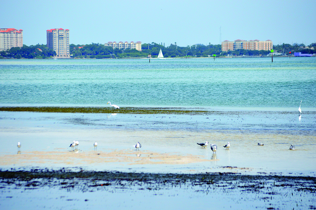 A subaqueous pipeline has transported wastewater from Longboat Key to the Manatee County wastewater treatment plant for the past 41 years. The town is beginning the process of replacing the pipeline. Photo by Caleb Motsinger