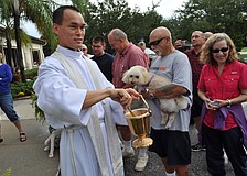 The Rev. John Nghia Hoang sprinkles the crowd of pets with holy water after saying a prayer.