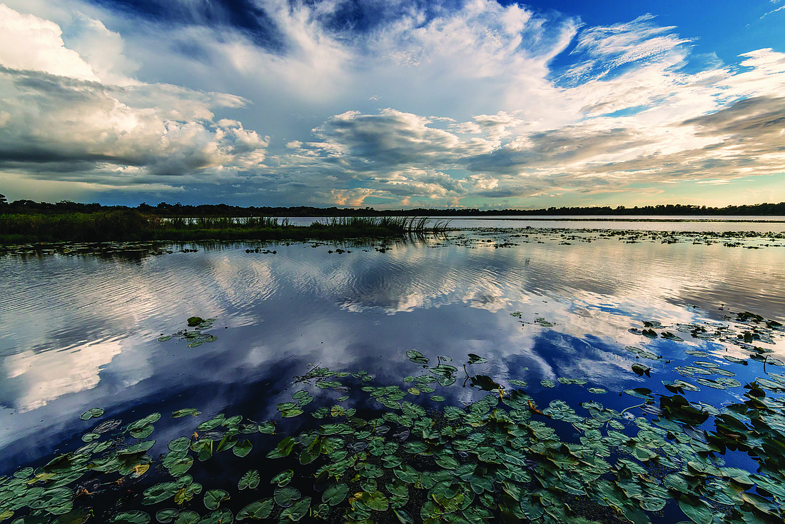 Kevin Hanley submitted this photo, taken overlooking Ward Lake in East County.