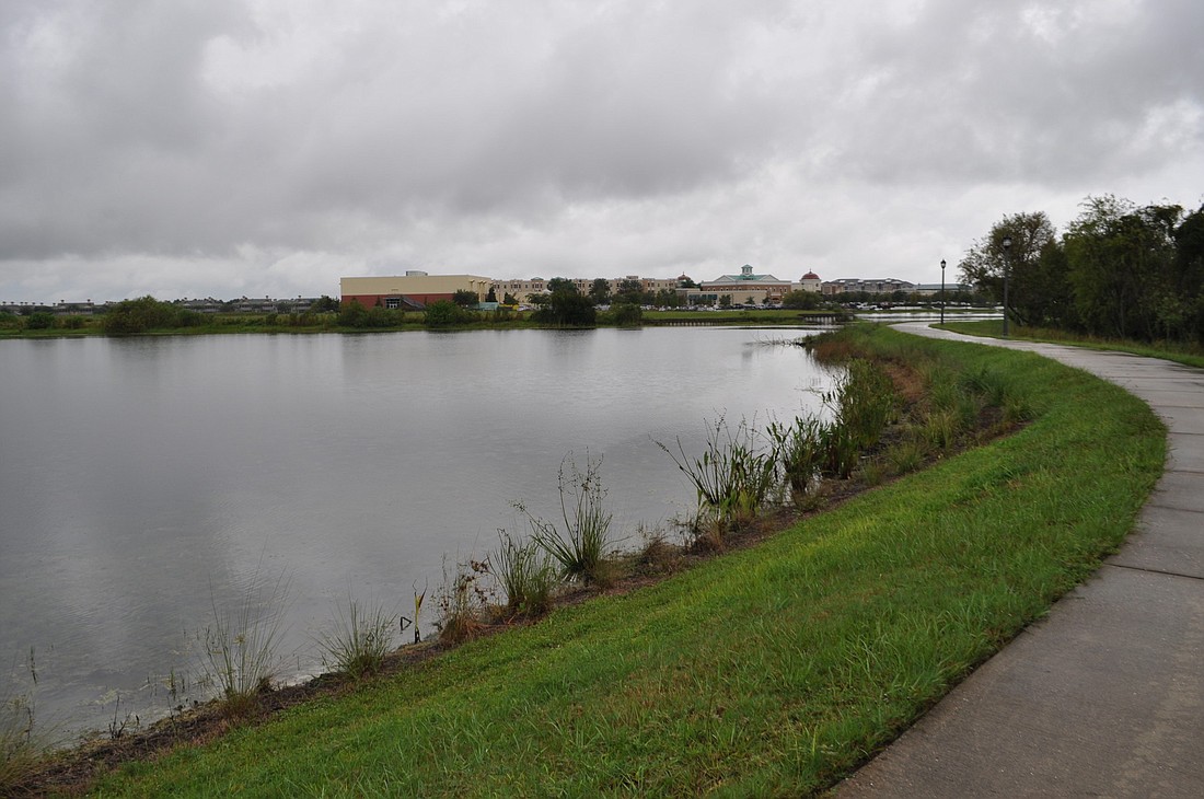 The site in question is located behind Lakewood Ranch Cinemas. Photo by Pam Eubanks
