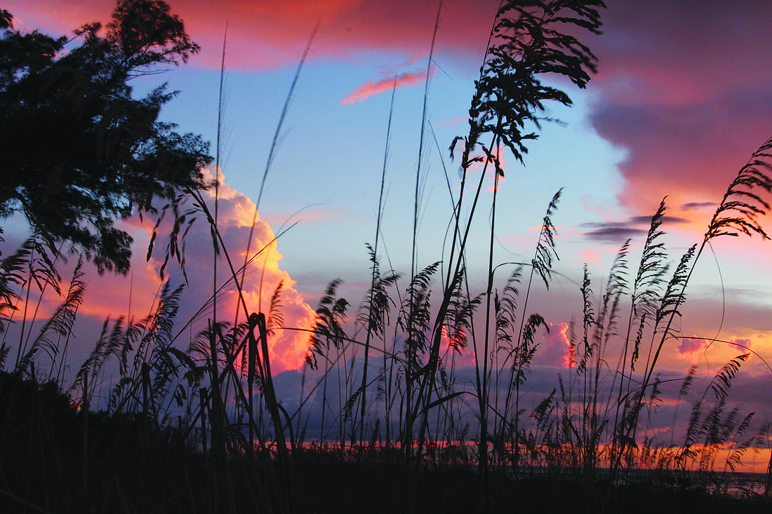 Peter Berkery submitted this sunset photo, taken on Anna Maria Island.