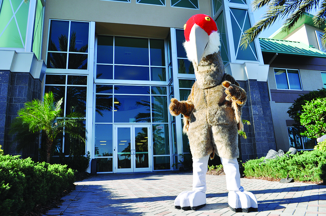 Lakewood Ranch's new sandhill crane mascot needs a name. Photo by Pam Eubanks