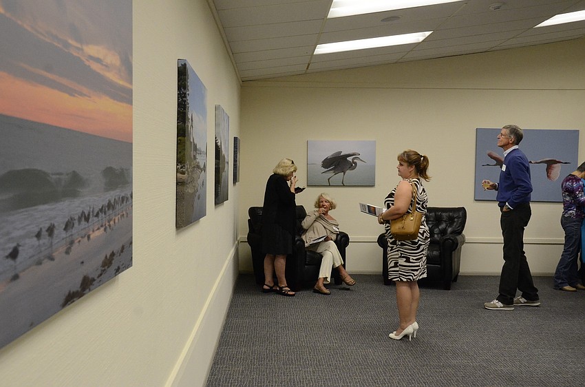 Alexandra Lillis admires the new exhibit of Louis Cabot's photography featuring the landscapes and wildlife on Longboat Key.