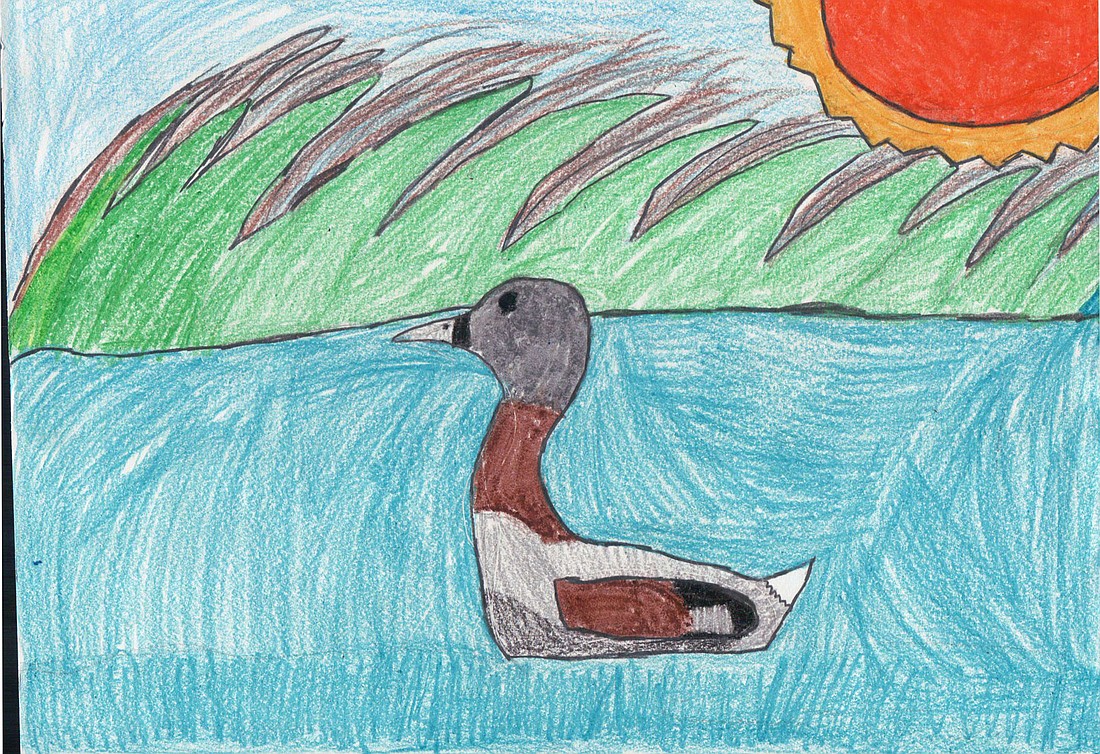 Courtesy Sarasota Audubon Society. The Sarasota Audubon Society is featuring artwork by children to showcase the educational nature programs offered.