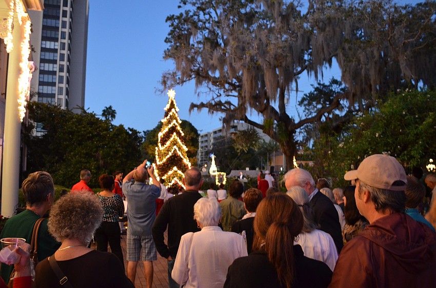 The crowd gathered to take photos of the lit up bromeliad tree at Selby Botanical Gardens Tuesday night.