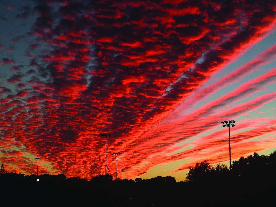 Nathan Frantz submitted this sunset photo, taken at Bee Ridge Park on Thanksgiving Eve.