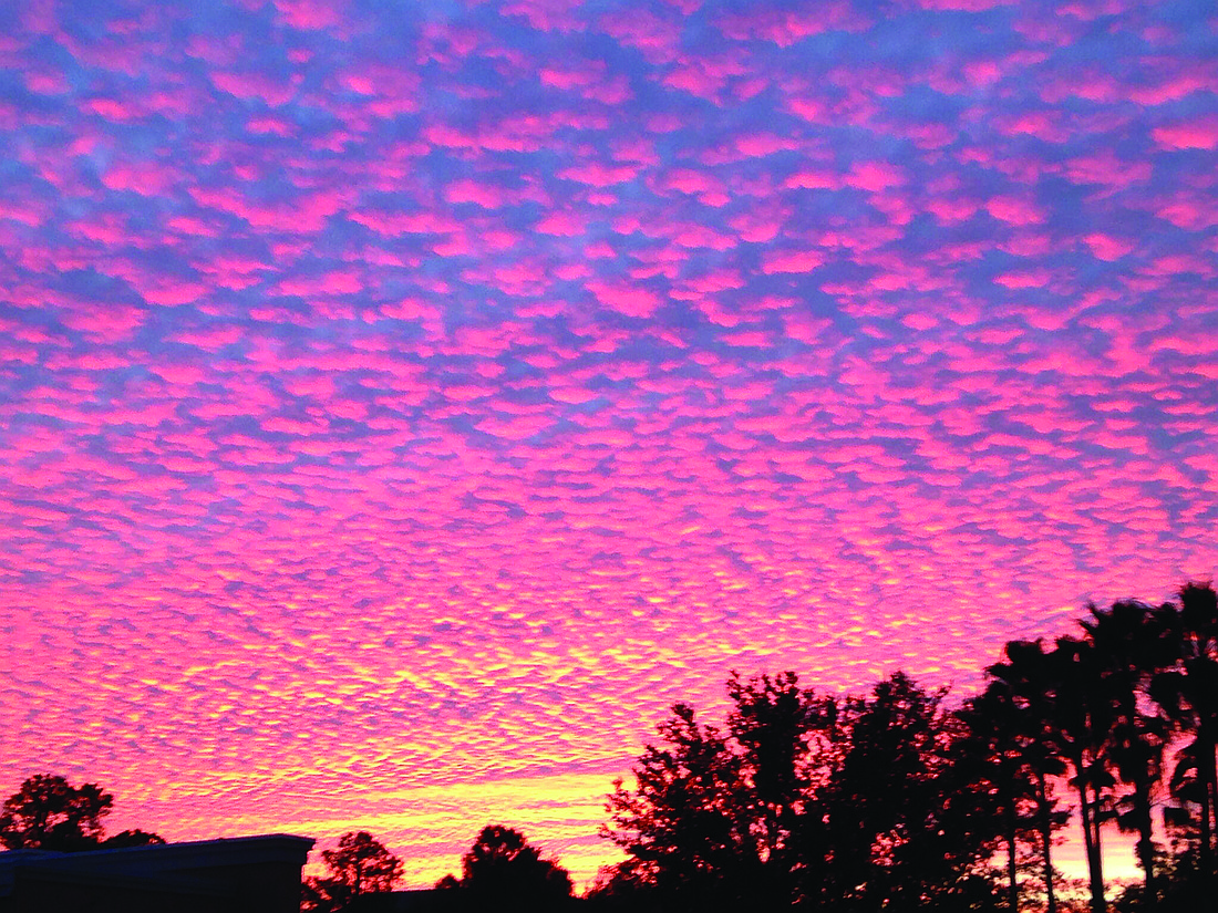 Susan Artemik submitted this sunrise photo, taken near Primrose School at Lakewood Ranch Town Center.