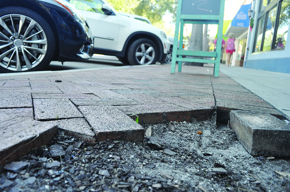 Several bricks are missing from multiple stretches of the 1400 block of Main Street, an issue caused by growing tree roots along the sidewalk. Photo by David Conway