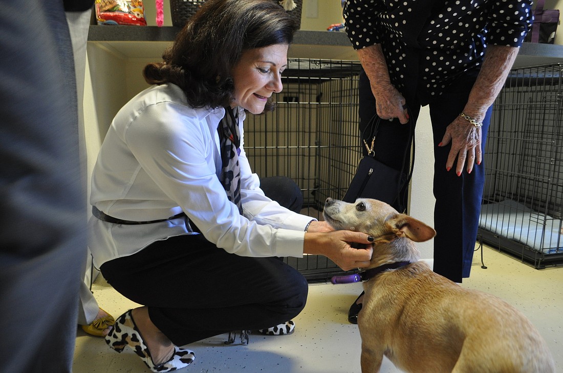 Luisa Goldman, SPARCC board president, pets Lilly. Photo by Jessica Salmond