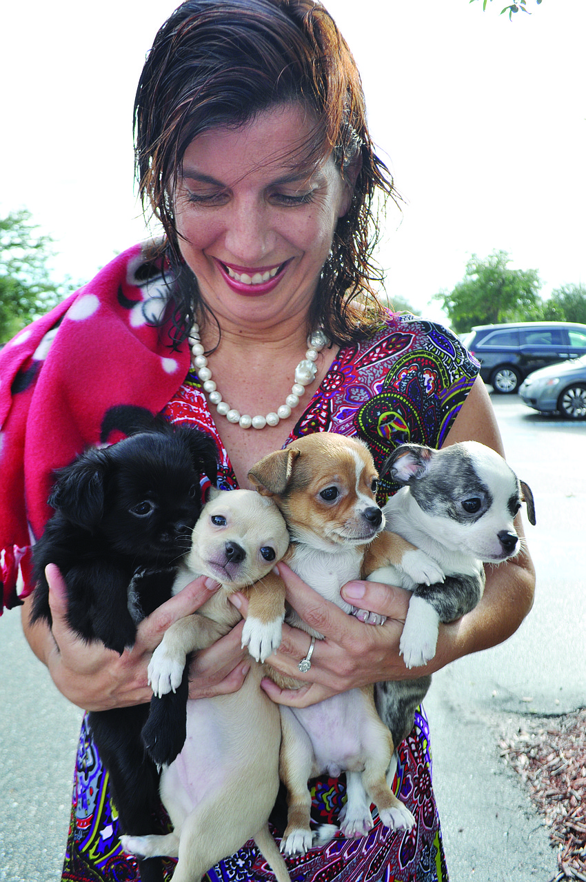Summerfield's Maureen Flaherty brings the four puppies â€” Harry, Merida, Kate and William â€” she fostered for Safe Haven Animal Rescue to an animal blessing at Our Lady of the Angels Catholic Church.