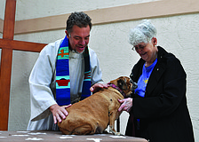 Rev. Brian Bagley-Bonner blesses Piper, a beagle/pug mix owned by Marge Hooie at Faith United Methodist Church.