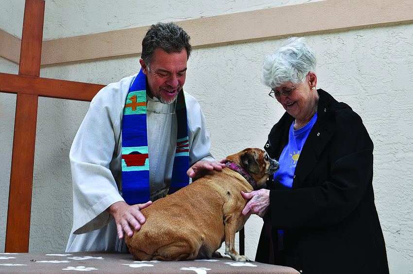 Rev. Brian Bagley-Bonner blesses Piper, a beagle/pug mix owned by Marge Hooie at Faith United Methodist Church.