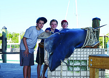 Sam Von Duhn, Ryan Roberts, and Tony Musca of Bay View, Ohio, show off the 692-pound mako shark they caught during a Double Nickel Charters fishing trip with their families, off Longboat Pass.