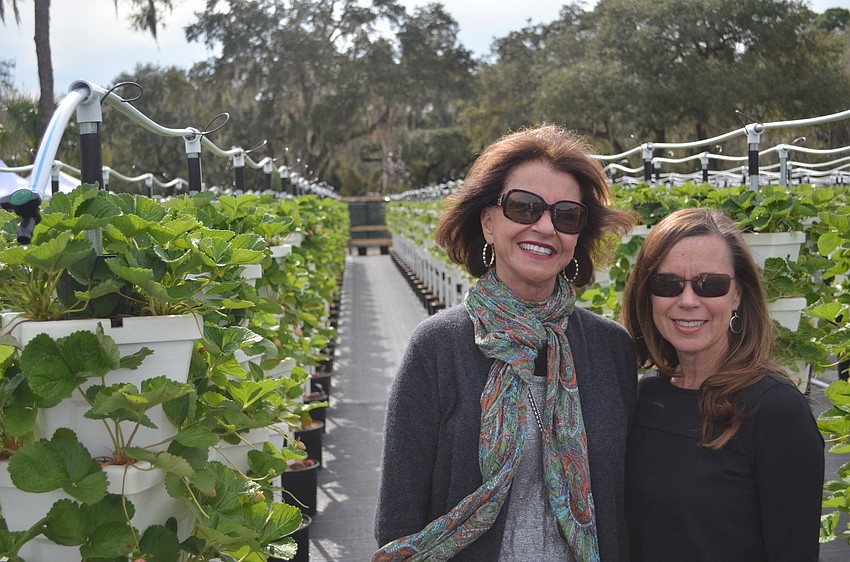 Kathy Demler and Susan Schaub