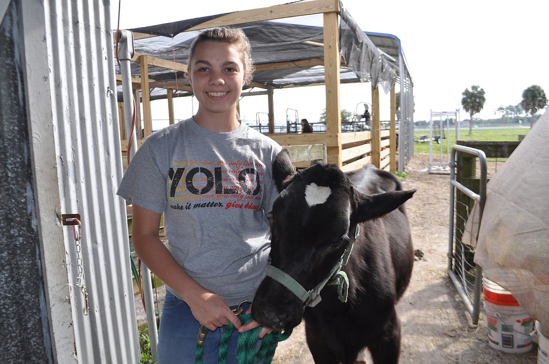 Jasmine Stanton, 16, shows off her dairy heifer, Karim. "It's fun," she says of the fair. "You get experience that not many people do." Photo by Pam Eubanks
