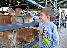 Five-year-old Luke Bianchi makes new friends.