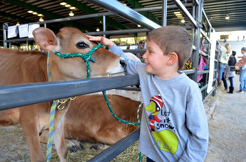 Five-year-old Luke Bianchi makes new friends.