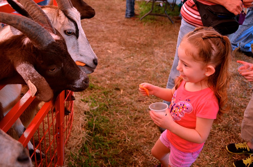 Jayla O'Donnell gives snacks to her new friends.