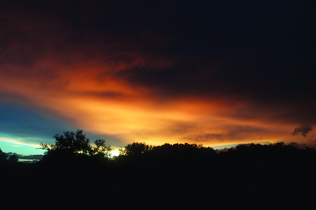 Alaina Upman submitted this sunset photo, taken in her East Sarasota County backyard after a rainstorm.