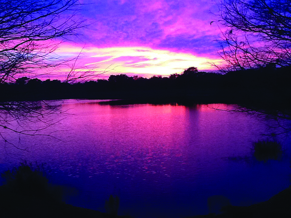 Mary Hoeymans submitted this sunset photo, taken from her backyard in Lakewood Ranch.