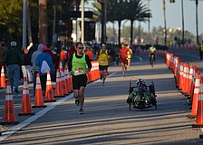 Runners approach Gulfstream Avenue from the John Ringling Bridge during the Sarasota Music Half Marathon.