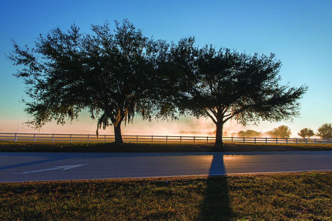 Stacy White submitted this misty sunrise photo, taken in Lakewood Ranch.