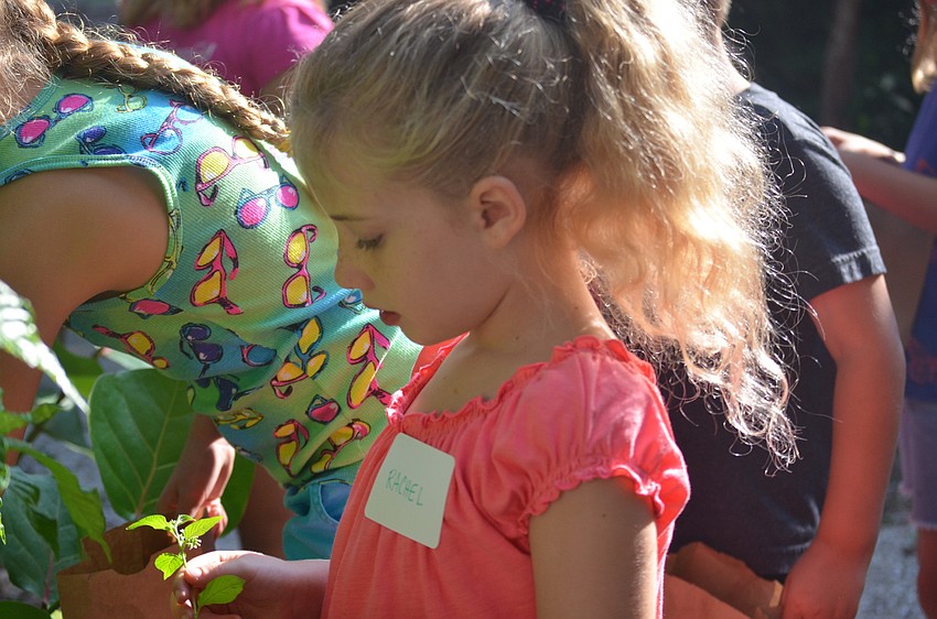 Rachel Wards looks for inspiration in nature.