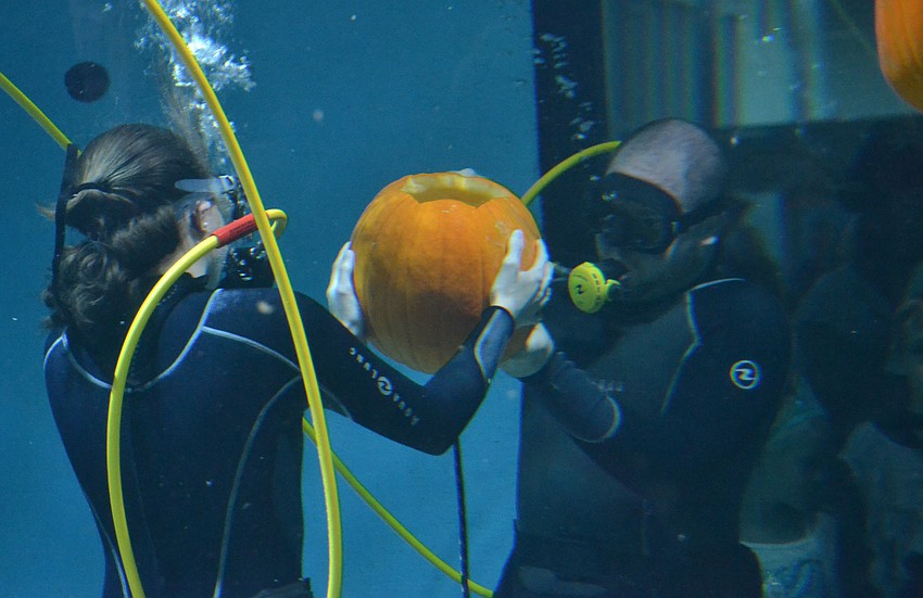 The activities for the night included trick-or-treating, a haunted house and underwater pumpkin carving in the shark tanks.