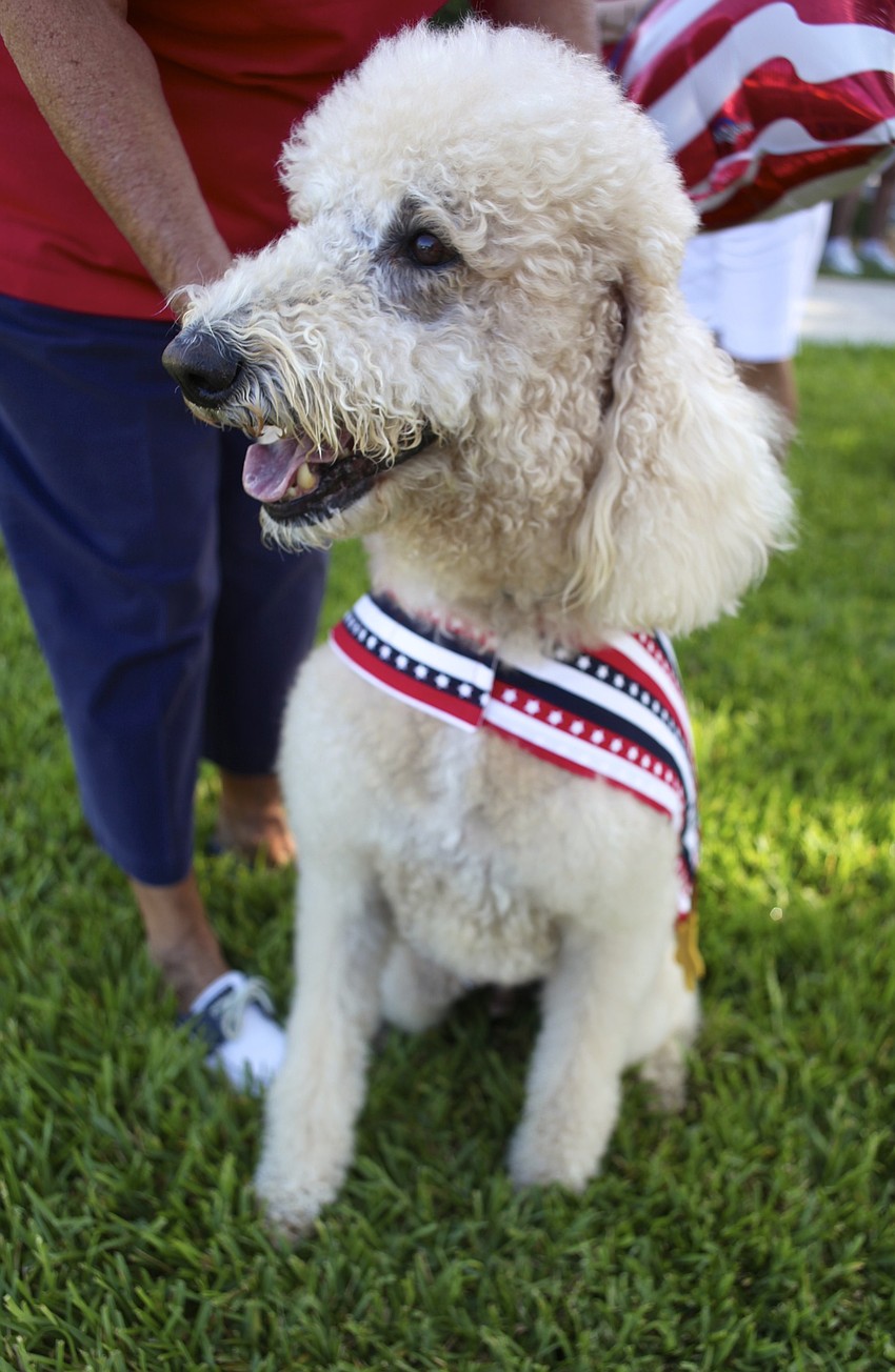 Vicki Anderson and her dog, Fluffy, won Best Dog & Owner.
