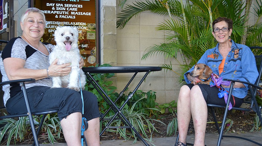 Van Withey and Sharon Stephens sit with Burton and Max in the Siesta Village Plaza during Safe Treats.