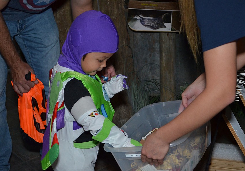The exhibit tanks had an extra spooky touch with props.