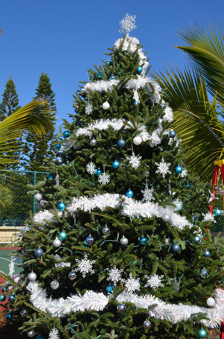 Casa Del Mar decorates a Christmas tree every year.