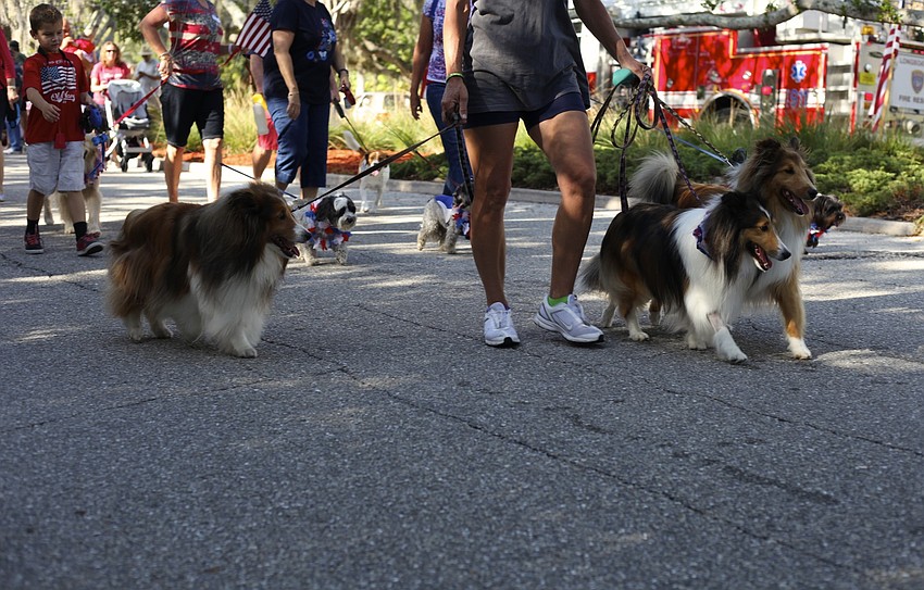 Patriotic pups were highlighted in the morning parade