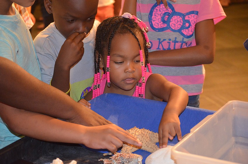 Gia Calero uses two fingers to touch a sea star.