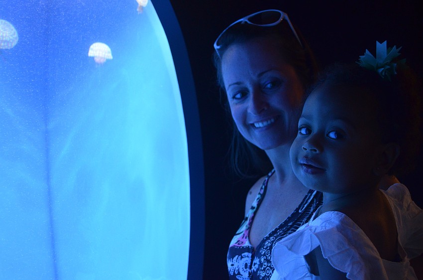 Monica and Marisa Louis watch the jellyfish.