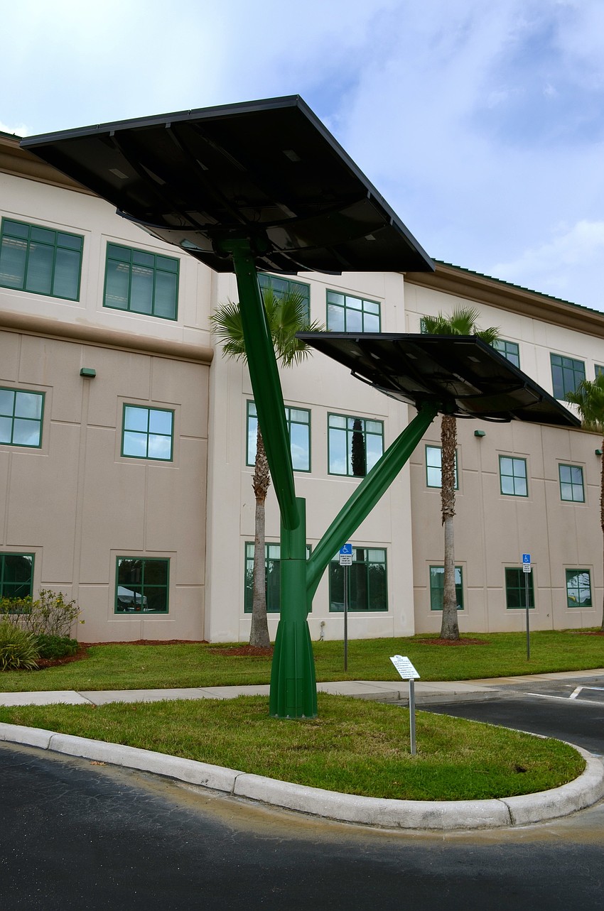 Solar trees are among the $.5 million worth of additions to the university's campus.