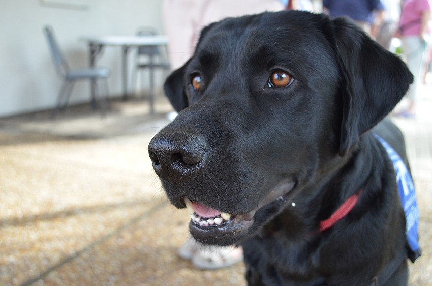 Southeastern Guide Dog Ambassador Holden was in attendance for the pet blessing festivities and service.