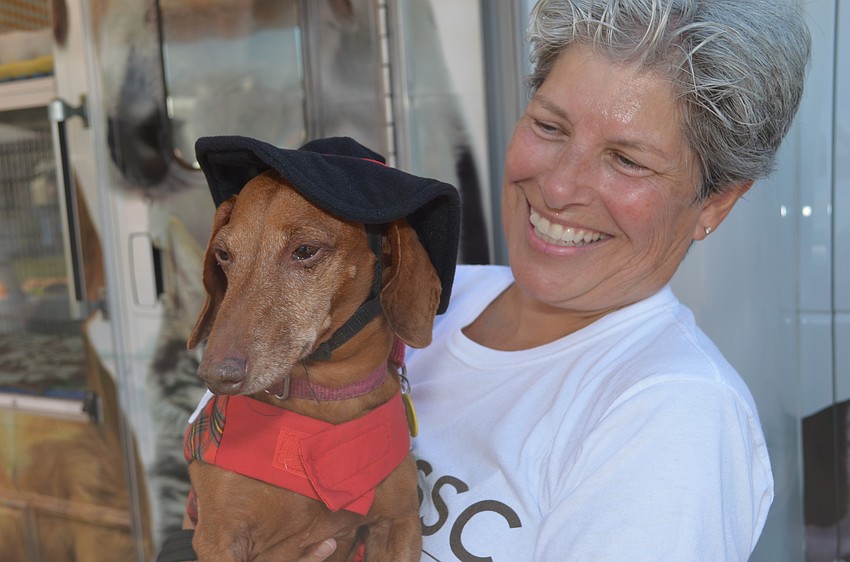 Volunteer Joyce Dâ€™Angelo holds Dachshund Kaiser, who is available to adopt.