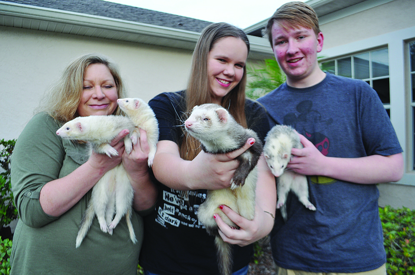 Kelly, Olivia and Callum Gessner hold their four ferrets. All four escaped Dec. 8 and were returned with help from a neighbor.