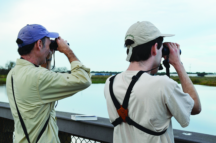 Bird naturalist Matthew Press (right) and his father, David, look for birds at the Celery Fields.