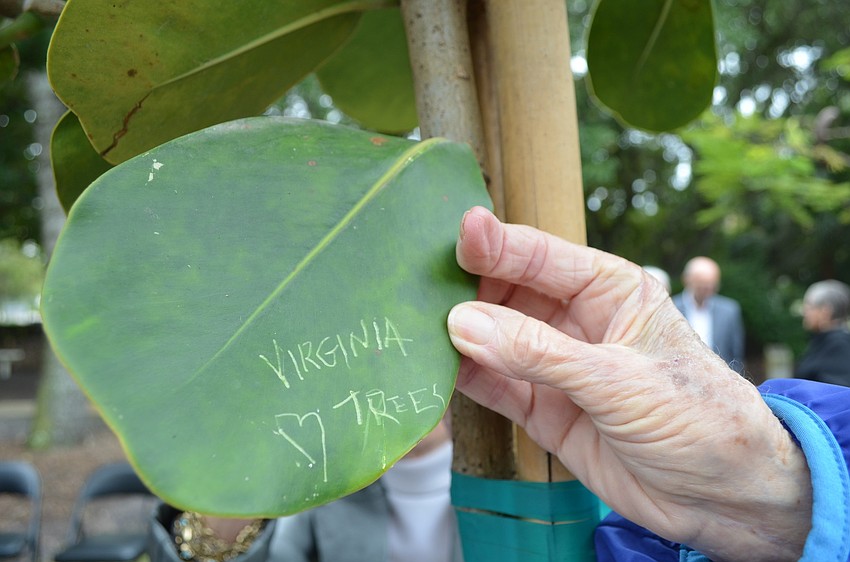 Sanders leaves her mark on the tree.