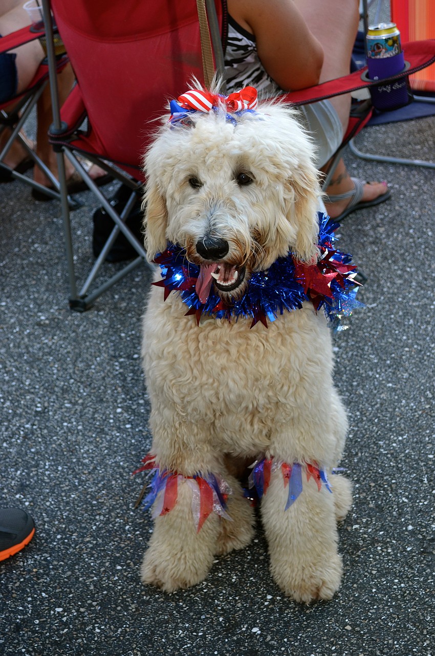 Eight-month-old Sydne shows off her red, white and blue.