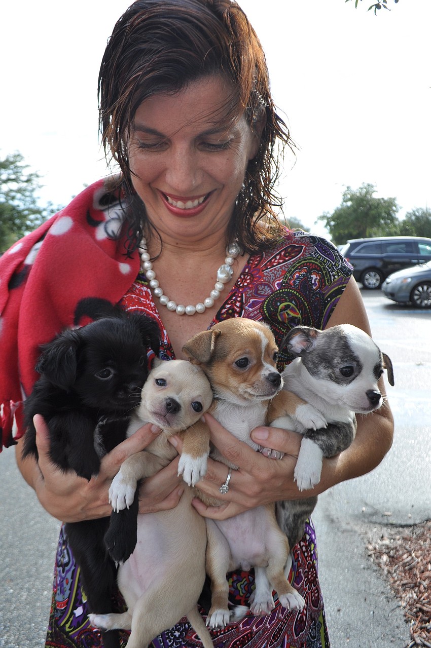 Summerfield's Maureen Flaherty brings the four puppies she is fostering for Safe Haven Animal Rescue. Harry, Merida, Kate and William will be available for adoption in about a week.