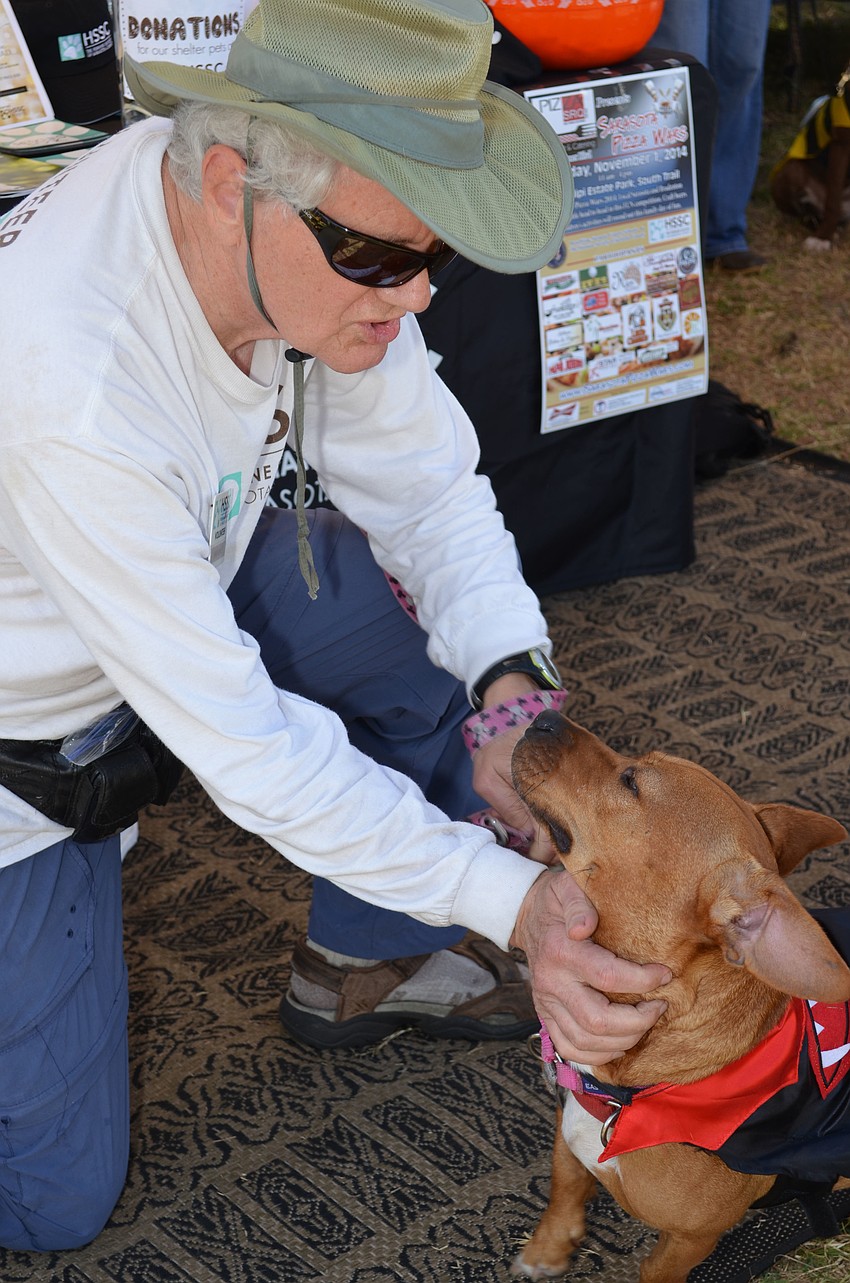 Volunteer Brendan Egan gives some love to Clark, who is available for adoption.