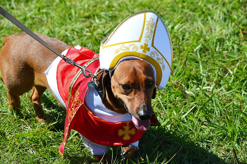 Olive took home the prize for funniest costume dressed as the Pope.