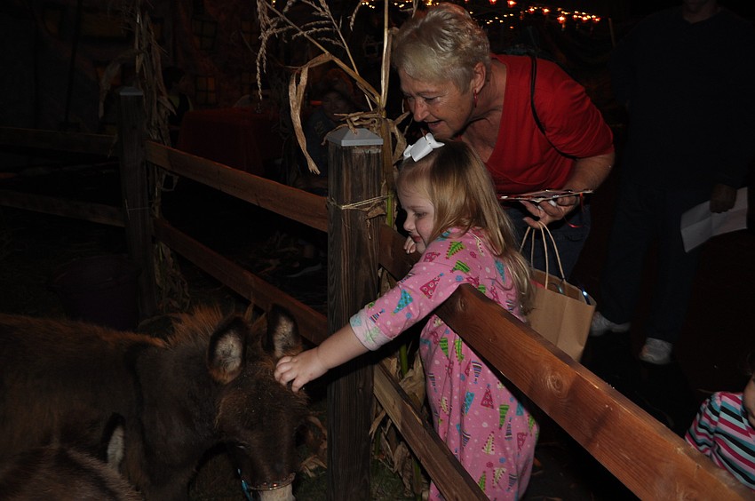 Addy Gebhart, 3, pets a donkey with her grandmother, Kathy Schimmoller.