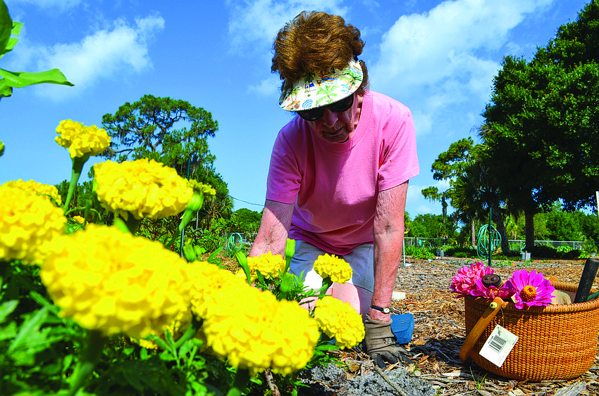 Pat Brandon, featured in the Observer's 