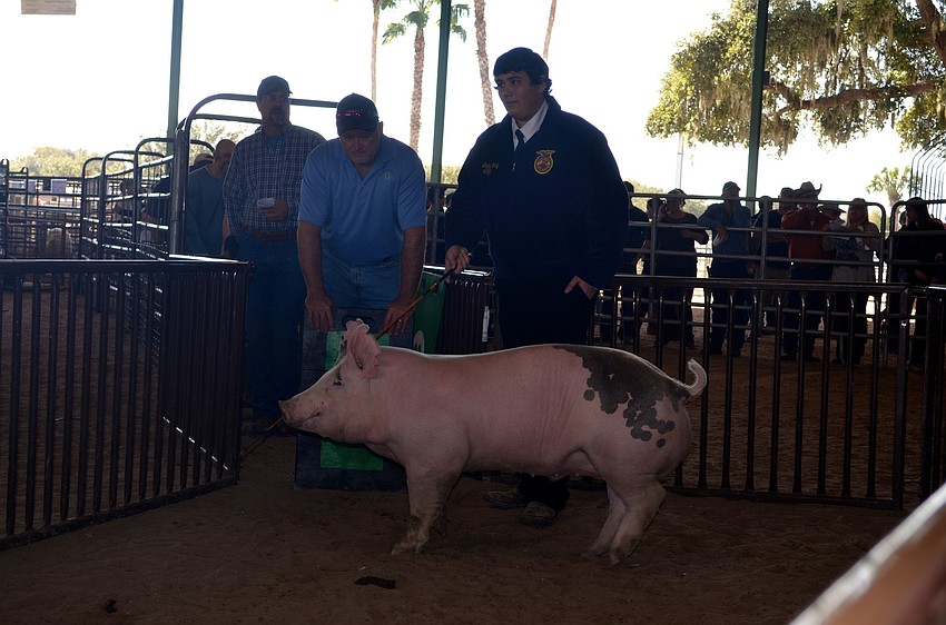 Lakewood Ranch High student Logan Gray sold his pig for $6 per pound.