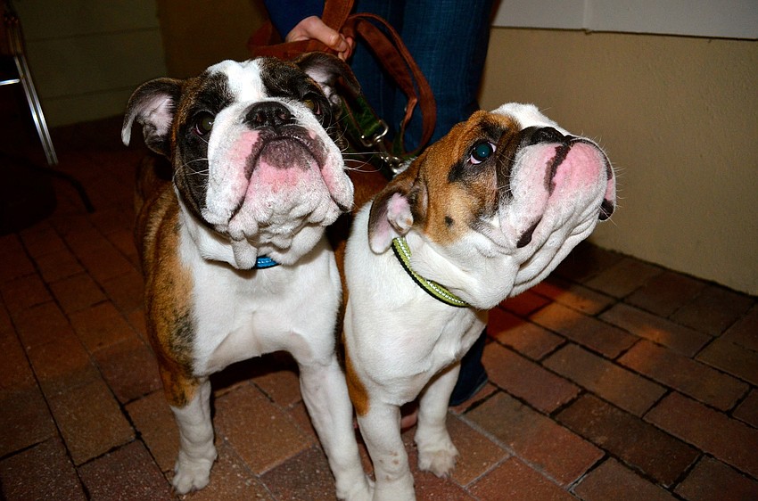 Lu Dog and Max smell something good.